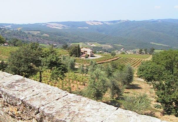 Podere Soccorso Montalcino Extérieur photo