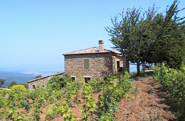 Podere Soccorso Montalcino Extérieur photo