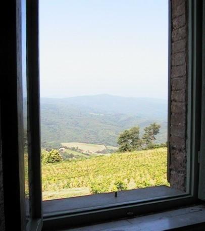 Podere Soccorso Montalcino Extérieur photo