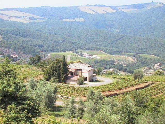 Podere Soccorso Montalcino Extérieur photo